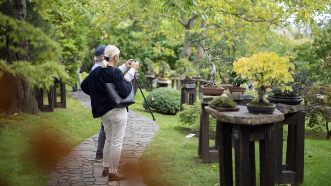 Tip na výlet: Pestrý podzim v botanické zahradě