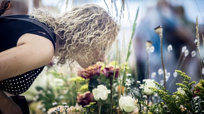 Olomouc v záplavě květin: Letní Flora Olomouc začíná!