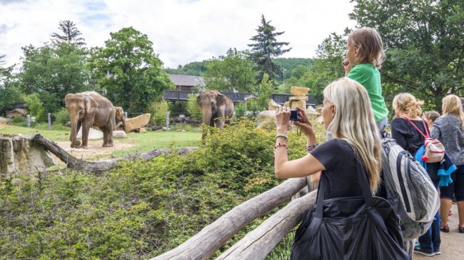 Průvodce nejlepšími ZOO v Čechách