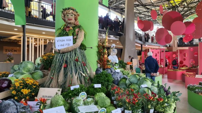 Flora Olomouc reflektuje Mezinárodní rok ovoce a zeleniny. Láká na šťavnatou expozici i trhy