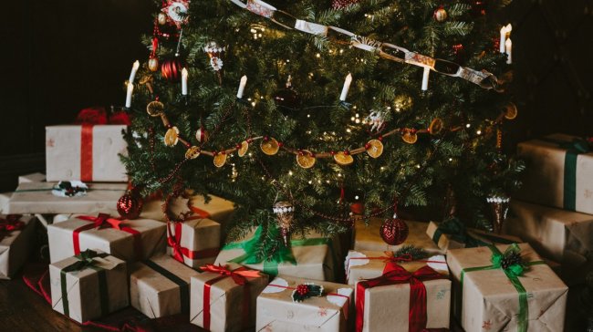 V hlavní roli: vánoční stromek!