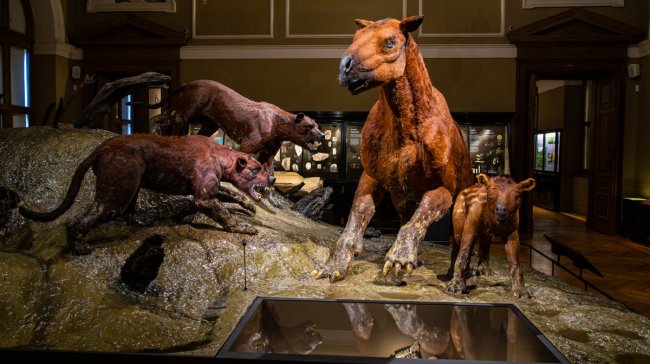 Výstava Okna do pravěku vás vezme na cestu do dob dávno minulých