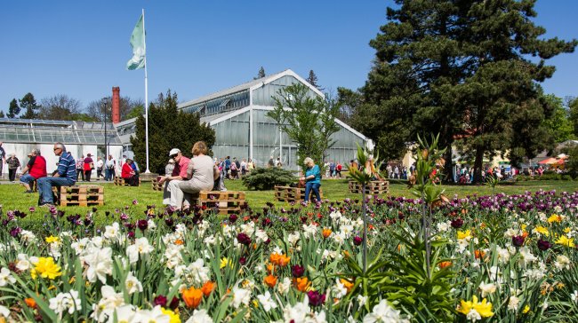 Květinová Flora Olomouc se zaměří na koloběh života
