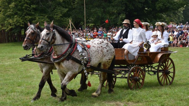 Josefkol aneb koně a kočáry, jak je neznáte