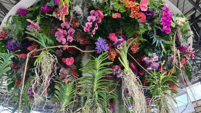 Těšili jste se na letní Floru? Oblíbená výstava se ruší