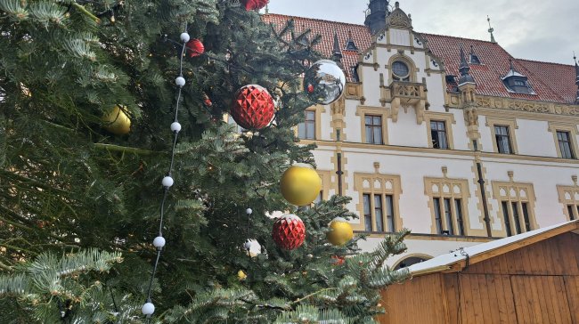 Vánoční trhy v Olomouci odstartovaly. Město rozzářil strom a začíná bohatý program