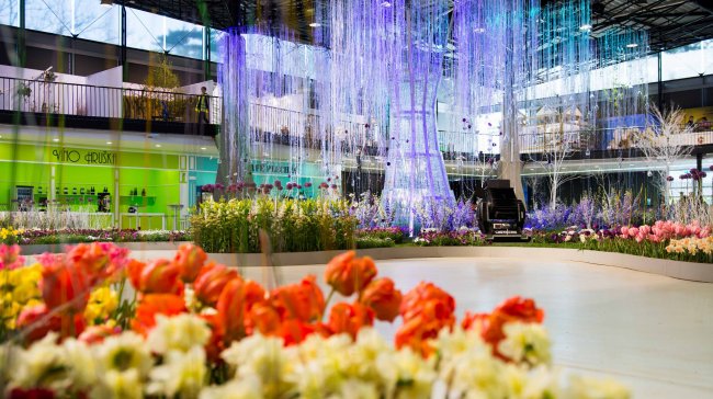 Flora Olomouc propojí květiny s hudbou a uměním