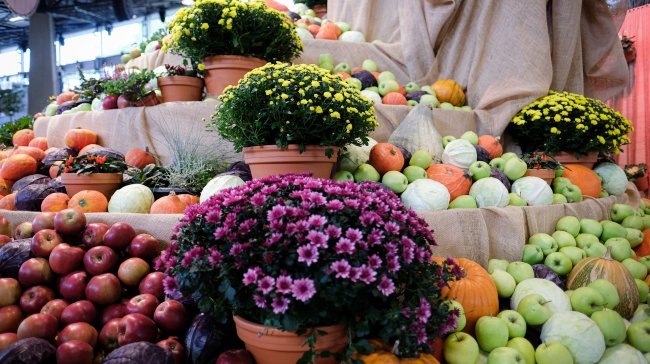 Flora Olomouc – Hortikomplex 2026 představí Dary naší země a to nejlepší z českého profesionálního zahradnictví