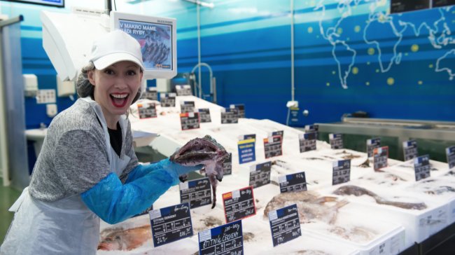 Jak si ušetřit cestu do Norska a beztak ulovit ty nejlepší kousky?