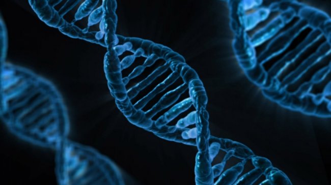 Co prozradí vaše DNA?