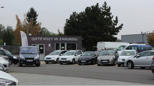 Investice bez rizika