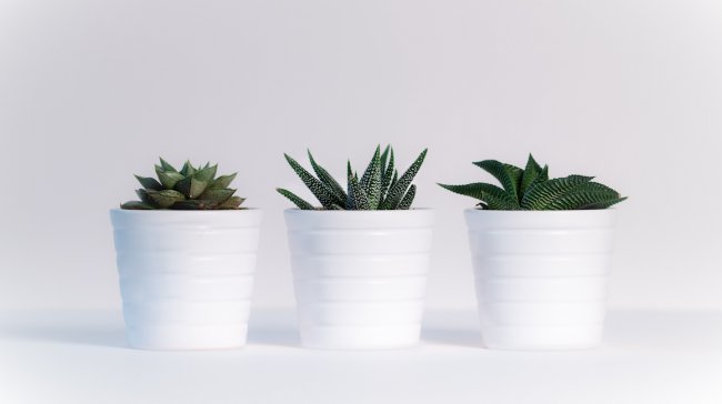 Minimalismus – Když méně je více