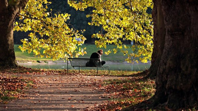 7 nejlepších knih letošního podzimu